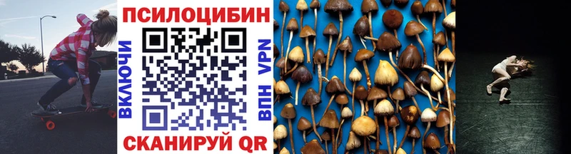 Галлюциногенные грибы MAGIC MUSHROOMS  Карасук 