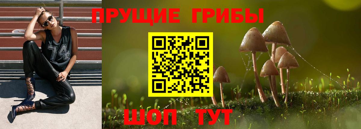 Галлюциногенные грибы ЛСД  Галлюциногенные грибы мухоморы  Вход с VPN  как найти закладки  Карасук 