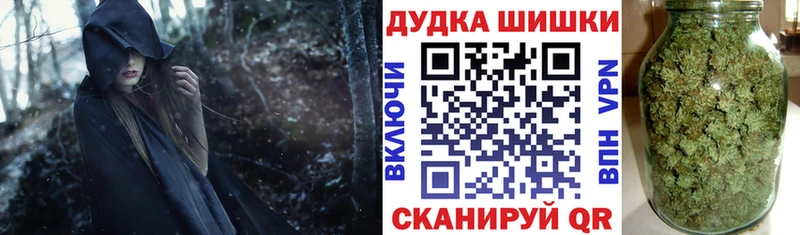 где найти наркотики  дарк нет как зайти  Каннабис индика  Карасук 